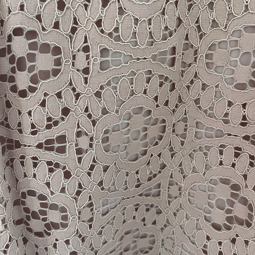 Ann Taylor Blush Lace Mini Dress - Picture 2 of 4